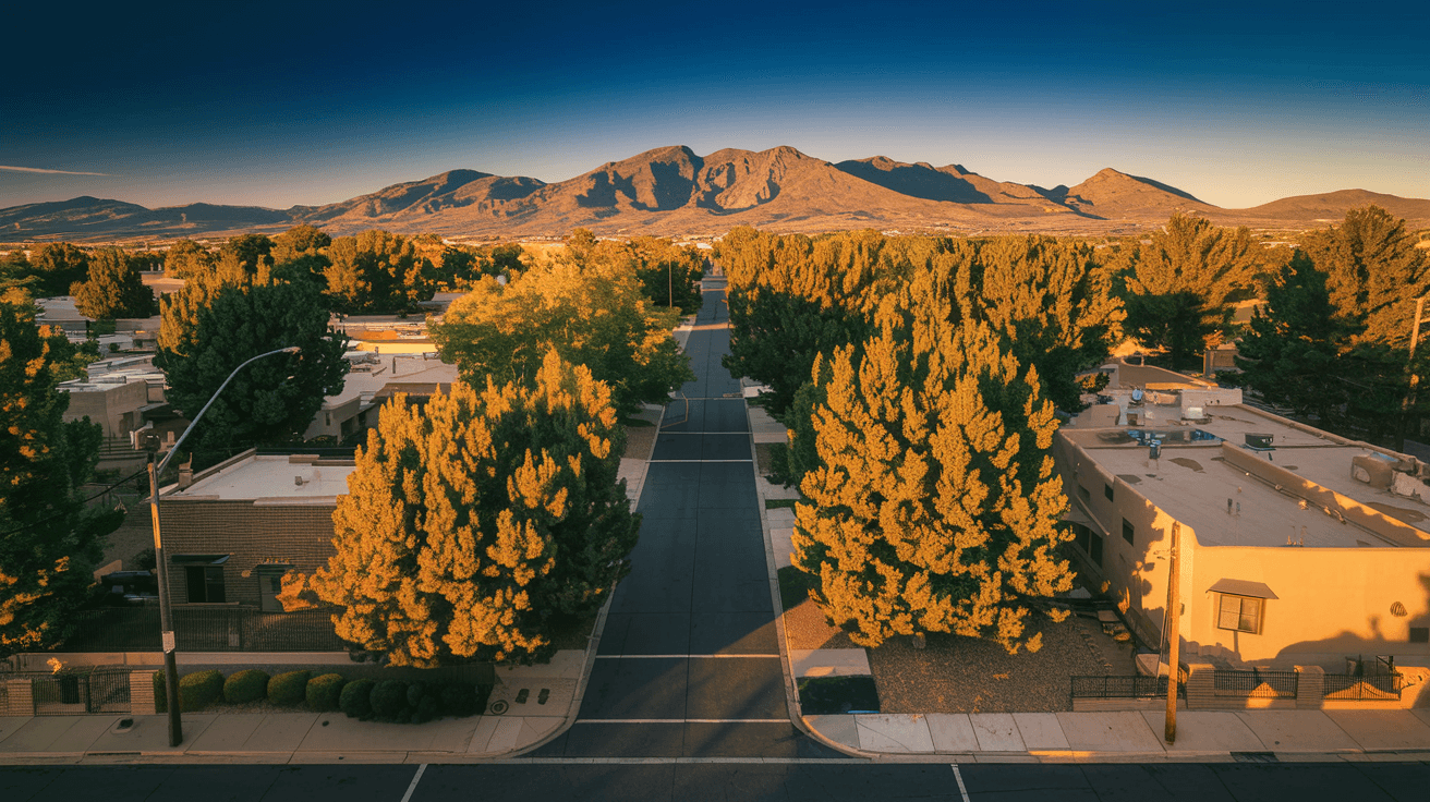 Living in Northeast Heights Albuquerque: Foothills Access, Established Neighborhoods, and Why Families Keep Choosing This Side of Town