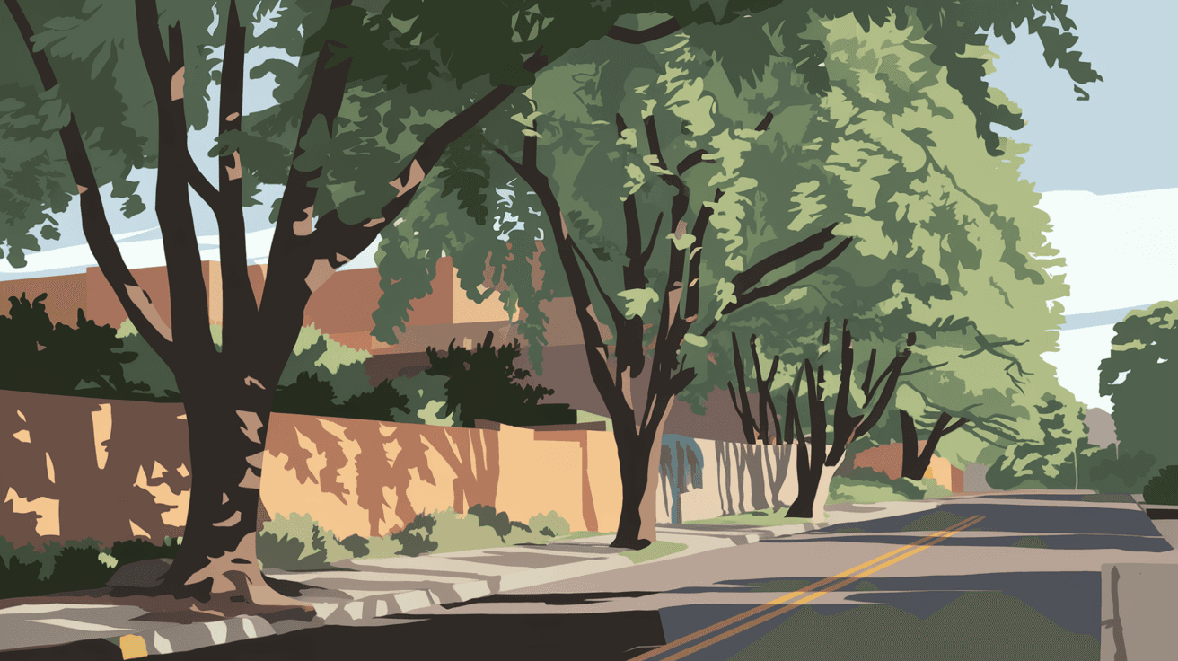 A quiet tree-lined street in Albuquerque's North Valley neighborhood with dappled afternoon light filtering through large cottonwood trees and an adobe wall along the road